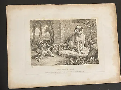 £4 • Buy Etching By Samuel Howitt DOG WITH BELL