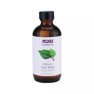 NOW Foods Tea Tree Oil 4 Fl Oz Liq • $20.37