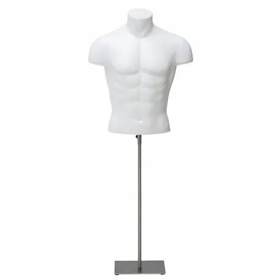 Mannequin Bust Male • $161.26