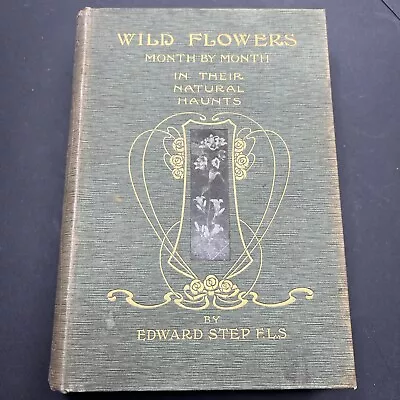 Wild Flowers Month By Month Edward Step VOL II ONLY 1st Ed. • £20