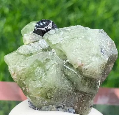 20gram Natural Peridot With Magnetite Crystal Specimen From Pakistan • $20