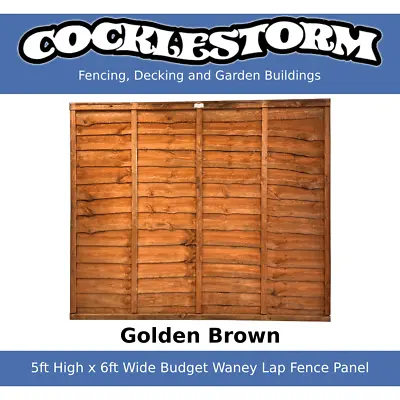 5ft High X 6ft Wide Golden Brown Fence Panel - Free Delivery Within 60 Miles • £30.50