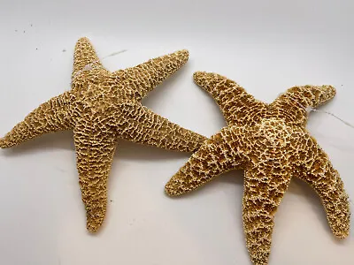 Two Sugar Starfish Sea Shell Beach Wedding Nautical 6  - 7  • $17.99