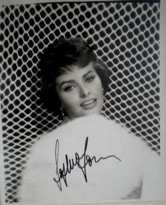 Signed Photo  Sophia Loren Legend -vintage -young & Sexy 8x10 Academy Award • $75