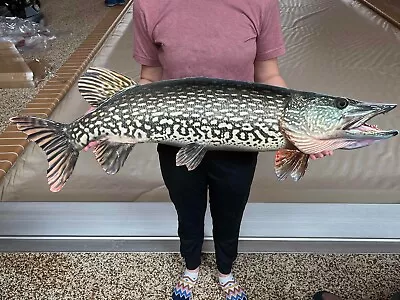 Northern Pike Replica Fish Art 42  2D Flat Metal Northern Pike Wall Mount Decor • $140