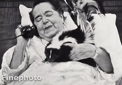$128.14 • Buy 1958 ELSA MAXWELL & Pet Skunk Writer By RICHARD AVEDON Gossip Radio Music Art