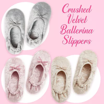 Ladies Ballerina Style Slippers Crushed Velvet Velour Womens Indoor Slippers UK • £7.69