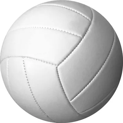 All White Volleyball Ball Without Any Imprint For Autograph Sign Painting Size 5 • $28.90