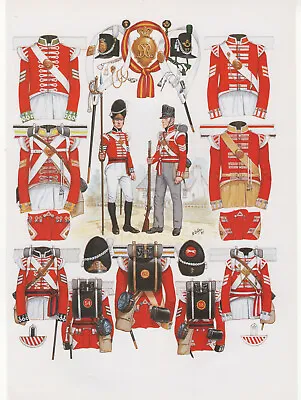 Vintage British Uniform Print 1812-1815 Infantry Of The Line Flank Companies • £27