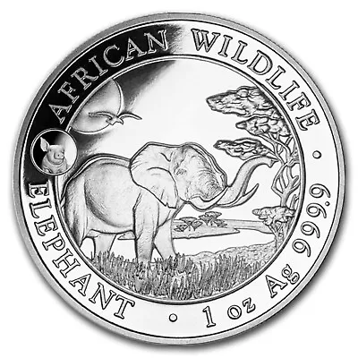 2019 Somalia 1 Oz Silver Elephant BU (Pig Privy) • $46.58