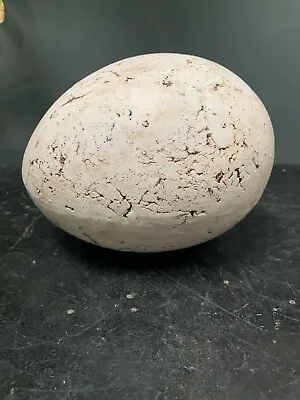 Unusual Studio Pottery Ostrich Egg • £12