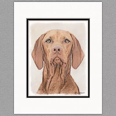 Vizsla Hungarian Dog Original Art Print 8x10 Matted To 11x14 • $21.99