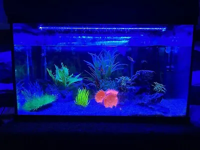 Fish Tank Fresh/ Salt Water With Filter Heater & Accessories Fluorescent Light • £100