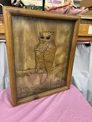 Vintage OOAK Wooden Carved OWL In Shadow Box Frame 18  X 22  3D Art Free Ship • $59.99