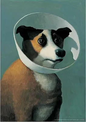 FUNNY DOG ART PRINT POSTER - Filmhound By Michael Sowa 23.5x16.5 • $29.95