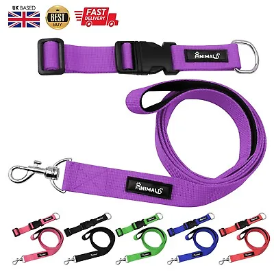 £7.99 • Buy Animalis Puppy Dog Collar Lead Set With Adjustable Buckle Soft Padded 3 Size 