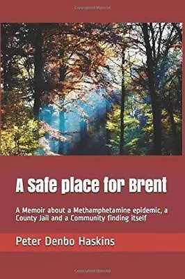 A Safe Place For Brent: A Memoir About A Methamphetamine Epidemic A Coun - GOOD • $14.89