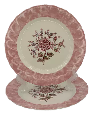 Johnson Brothers Rose Chintz Accent Dinner Plate 1883 Set Of 2 • $19.50