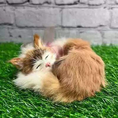 Real Fur Life Like Realistic Real Rabbit Fur Sleeping Cat Kitten Figure Mini • $12