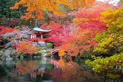 A1 | Japanese Garden Poster Art Print 60 X 90cm 180gsm Japan Travel Gift #8830 • £10.99