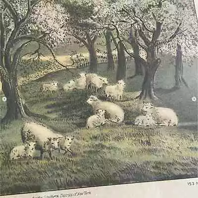 Vintage Currier & Ives American Homestead Sheep Spring Litho Print Framed Glass • $45