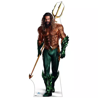 AQUAMAN  Lost Kingdom  Lifesize CARDBOARD CUTOUT Standup Standee Jason Mamoa • $49.95