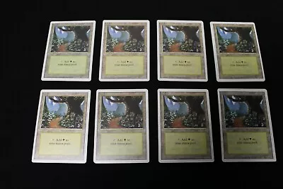 Forest (b) (x Eight) Revised Near Mint MTG • $5.75