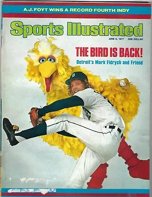 ⚾️ MARK FIDRYCH Sports Illustrated June 6 1977  Detroit Tigers Big Bird • $8