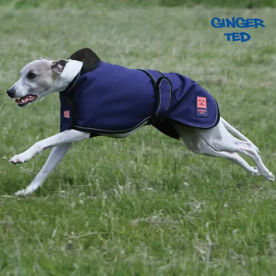 £29.99 • Buy Ginger Ted UK Shower LITE Lightweight Waterproof Greyhound Whippet Lurcher Coat