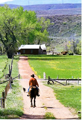 1986 Vintage Print Cowboys Ranchester Wyoming Man Hat West Horse Riding Cowboys • $24.88