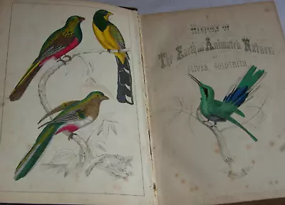 £450 • Buy A History Of The Earth And Animated Nature By Oliver Goldsmith Vol II 1832