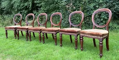 Antique Victorian Spoon Back O Shaped Mahogany Turned 6 X Dining Chairs #M • £175