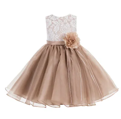 Lace Flower Girl Dress Pageant Dress Formal Toddler Dresses Graduation Dresses • $29.99