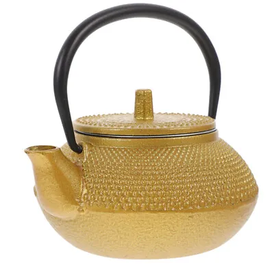  Metal Tea Kettle Chinese Kungfu Pot Office Travel Small Teapot • £25.78