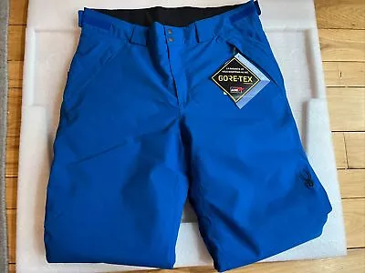 Spyder Men's Active Mesa Gore-Tex Ski Snowboarding Snow Pants Blue Size L NWT • $139