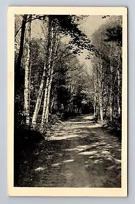Manitowish WI-Wisconsin Birch Fringed Trail C1940 Vintage Souvenir Postcard • $7.99