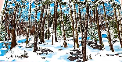 Michael Miller  Snow Lake  Birch Winter Snow Trees Cotton Fabric Panel DC4112 • $4.99