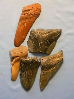 Megalodon Lot Of 5 Teeth No Restoration Fossil Sharks Tooth • $16