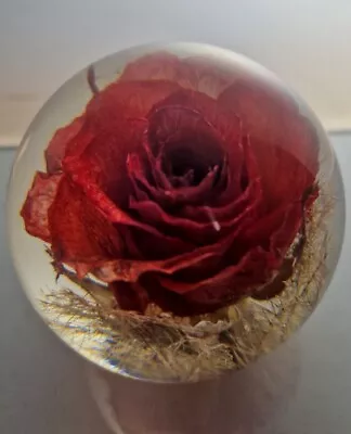£20 • Buy Small Vintage Lucite Hafod Grange Red Rose Paperweight 1996 Height 6.5cm
