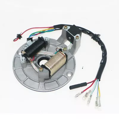 IGNITION STATOR MAGNETO For CRF50 Lifan SSR CRF70 110CC 125CC 90CC Pit Bike Dirt • $14.50