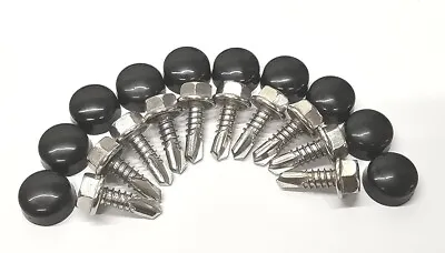 (10) Lund Cab Sun Moon Visor Mounting Hardware Stainless Screws & Paintable Caps • $12.95