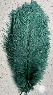 2 Green Ostrich Feathers 30/32cm- Craft/ Millinery/Decor /1920’s /Wedding • $6