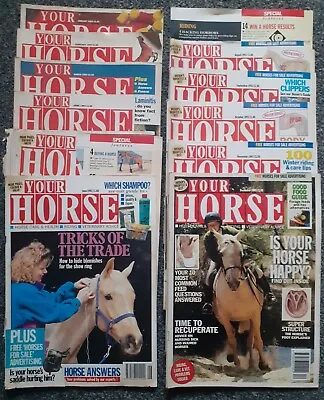 Your Horse Magazine Full Year 1993 • £9.50