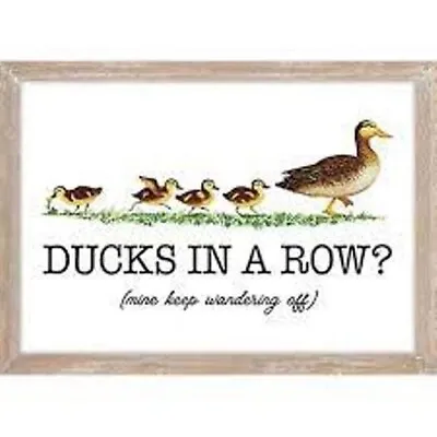 Ducks In A Row? Sign Wall Hanger Porch Rustic Country Décor Red Shed • $12