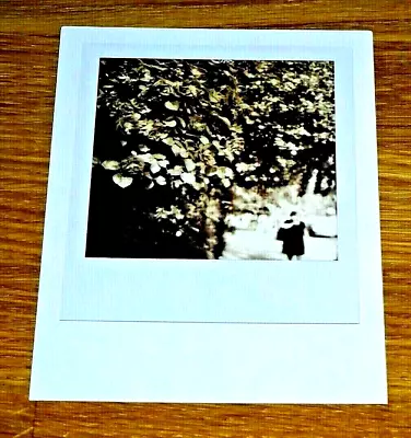 Impossible Spectrum Project Photograph Postcard ~ Foliage & Woman Walking ~ B&w • £1.50