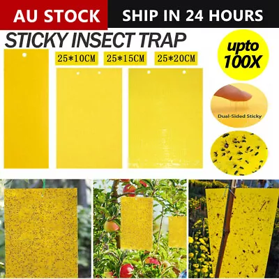 Up 100 Pc Yellow Sticky Paper Insect Trap Catcher Killer Fly Aphids Wasp AU • $8.10