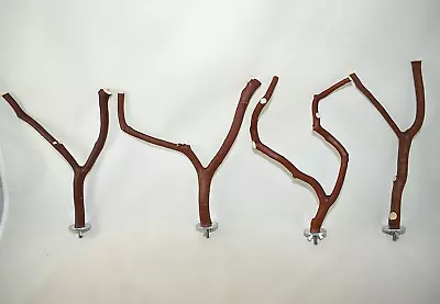 Manzanita Bird Perches 4 Pack Forked Multibranch  W/ Hardware  * Happy Feet :) • $18.99