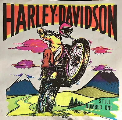 Original Vintage Harley-Davidson Motorcycle Biker Iron On Transfer Bike DAYGLO • $9.50