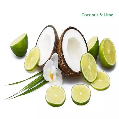$40.95 • Buy PREMIUM HIGHLY SCENTED REED DIFFUSER REFILLS - Coconut & Lime Fragrance