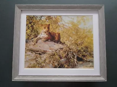 David Shepherd Print 'The Sentinel'   Jaguar  FRAMED • £28.50